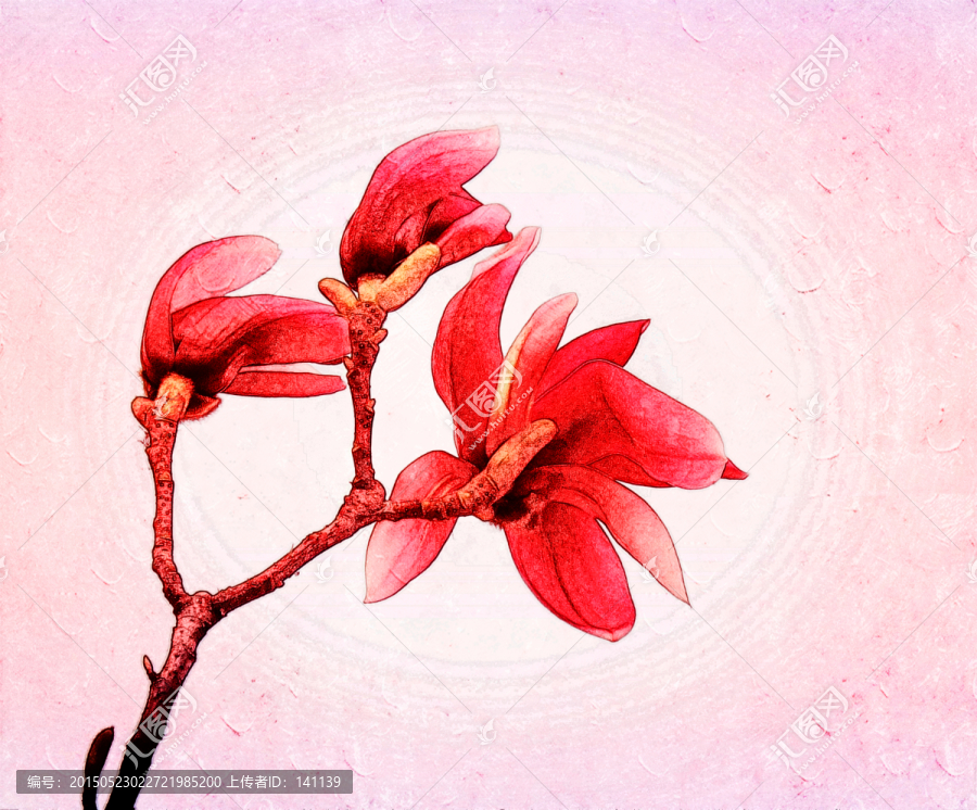 玉蘭花油畫