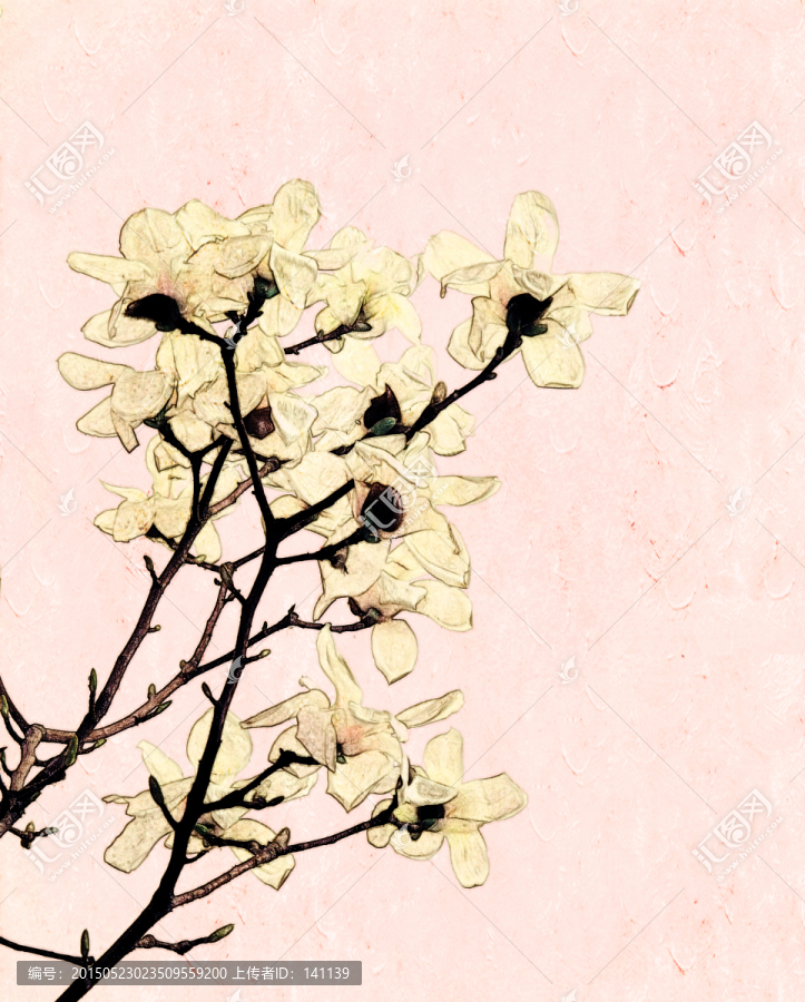 玉蘭花油畫