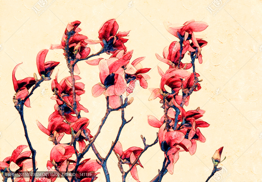 玉蘭花油畫
