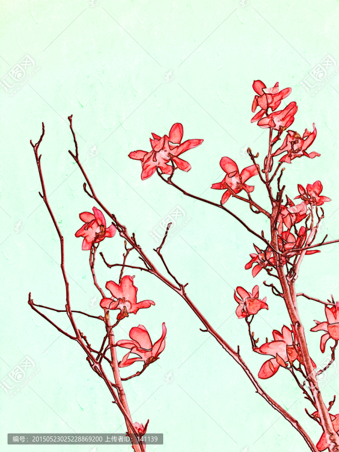 玉蘭花油畫(huà)