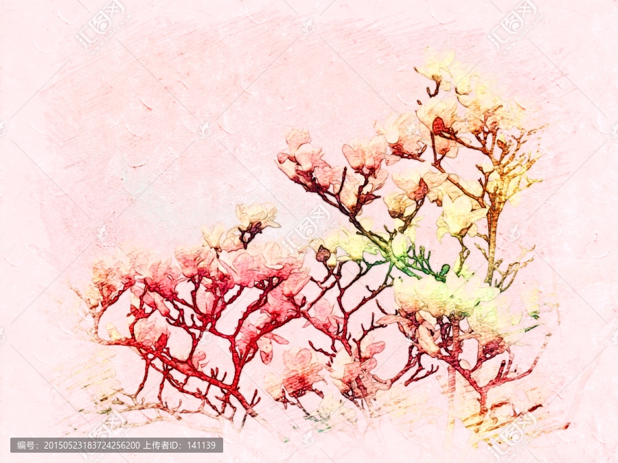 玉蘭花油畫