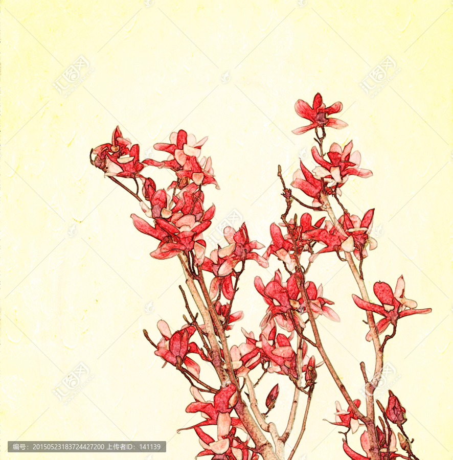 玉蘭花油畫(huà)