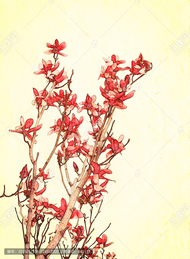 玉蘭花油畫
