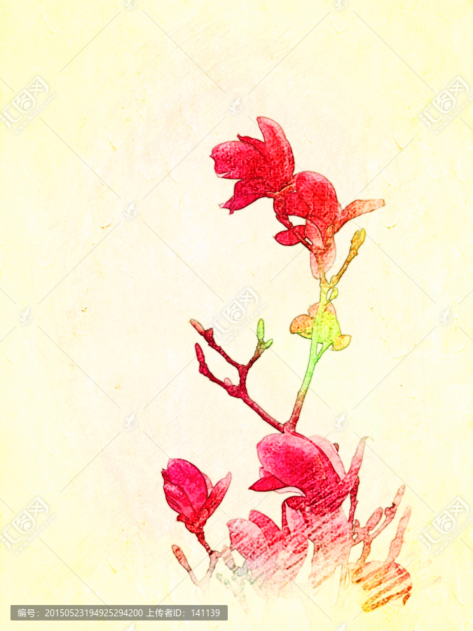 玉蘭花油畫