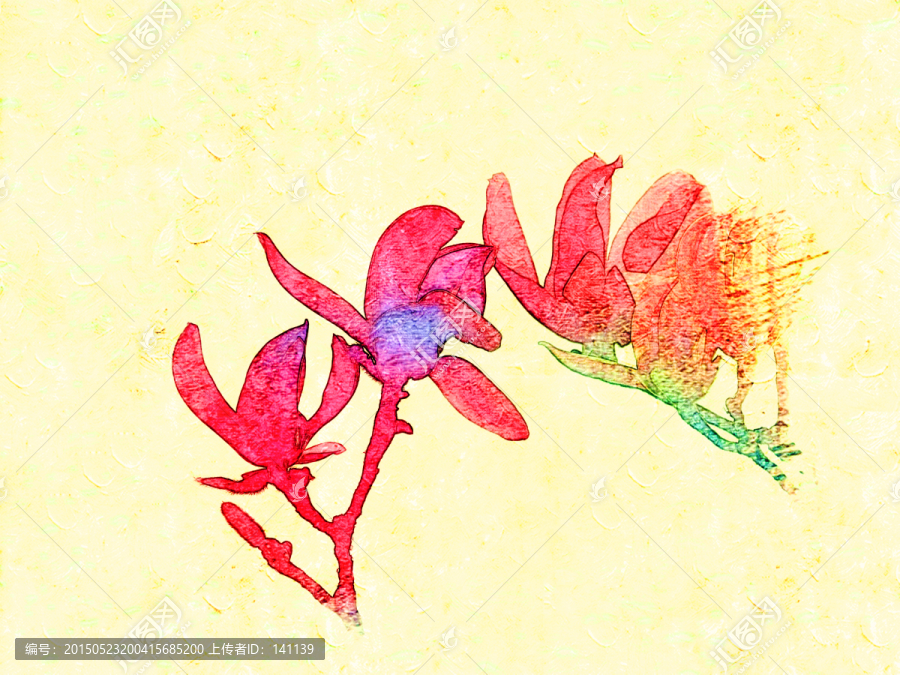 玉蘭花油畫