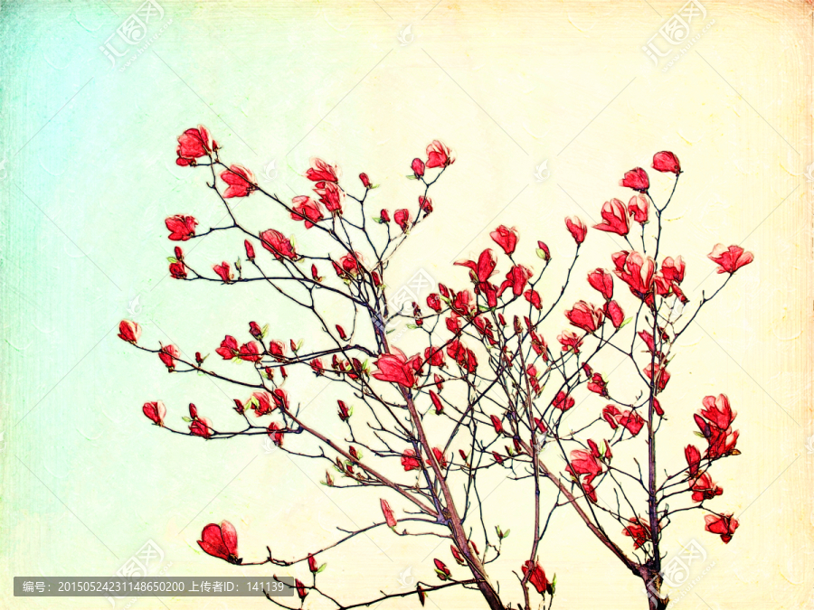 玉蘭花油畫