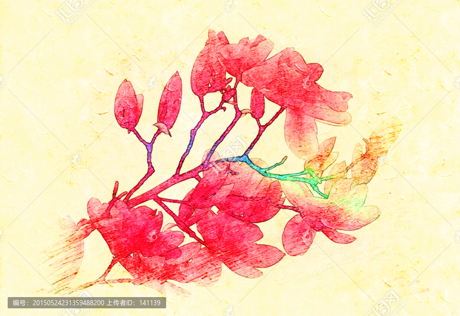 玉蘭花油畫(huà)