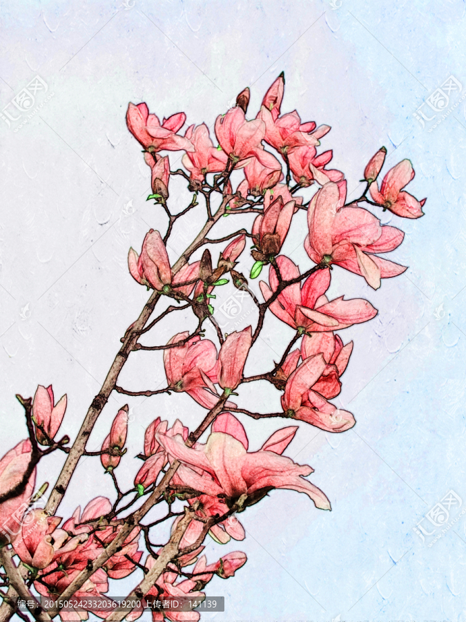 玉蘭花油畫