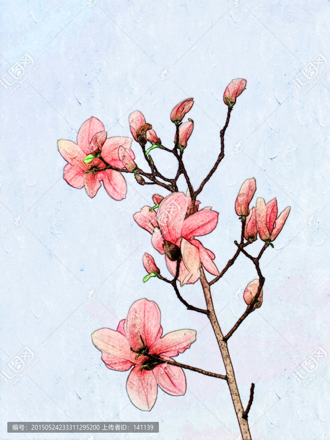 玉蘭花油畫