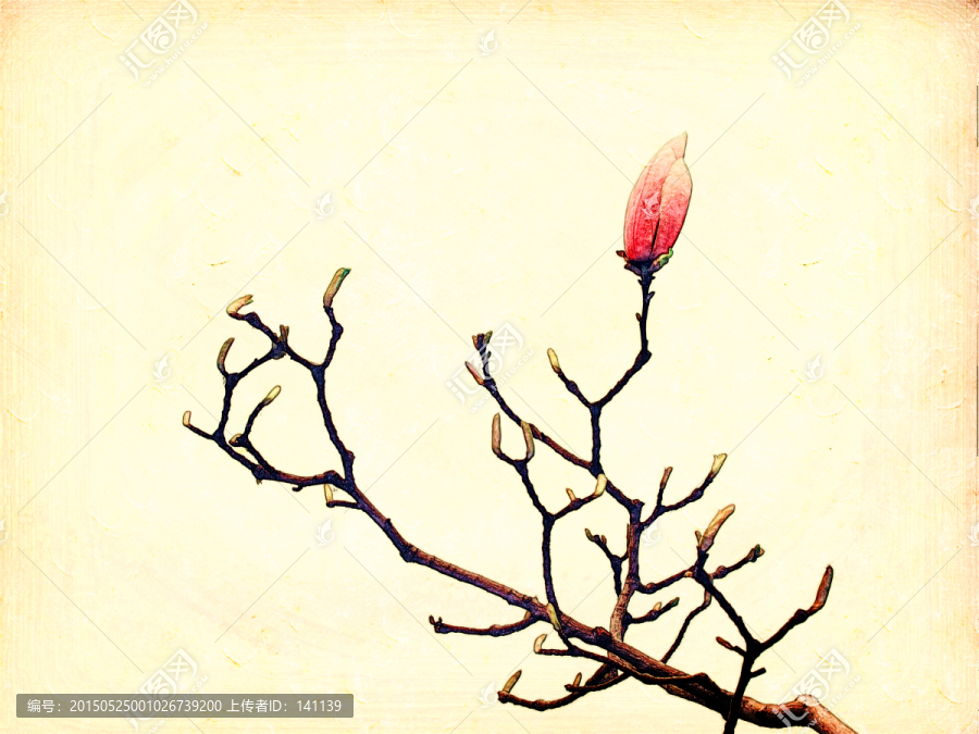 玉蘭花油畫
