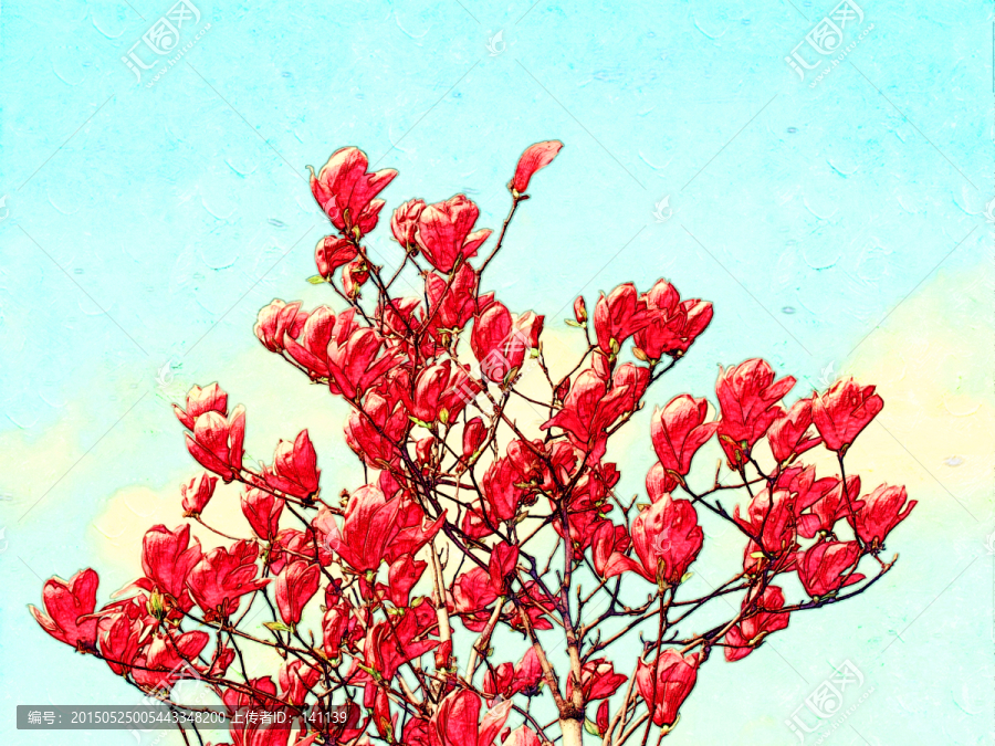 玉蘭花油畫