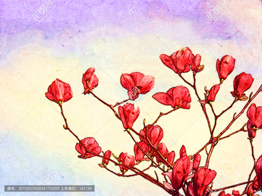 玉蘭花油畫
