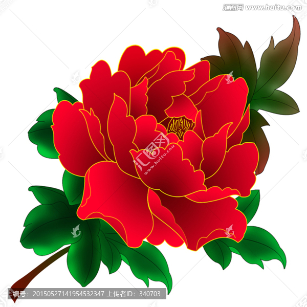 牡丹花