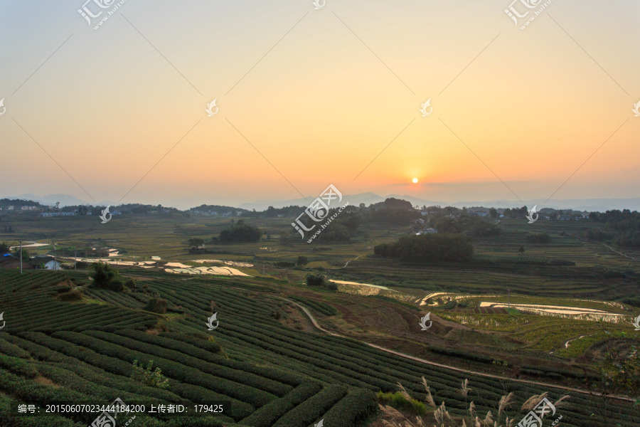 叙永丹山梯田茶园夕阳落日