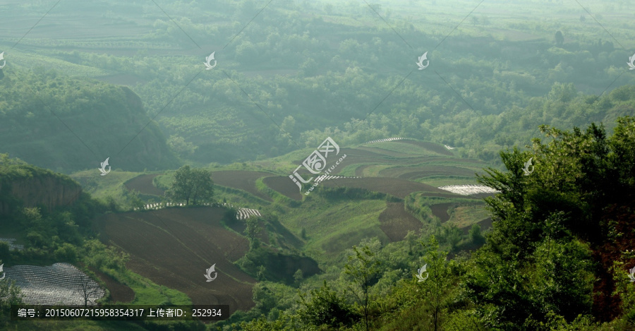 田园风光