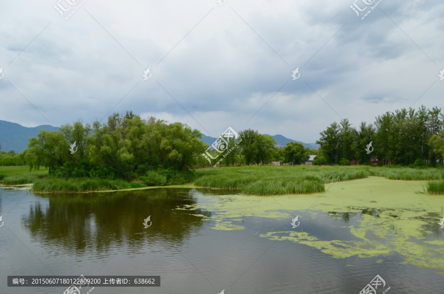 稻香湖湿地