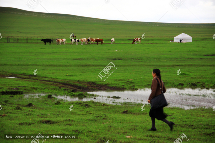 草原上回家的蒙古族女人