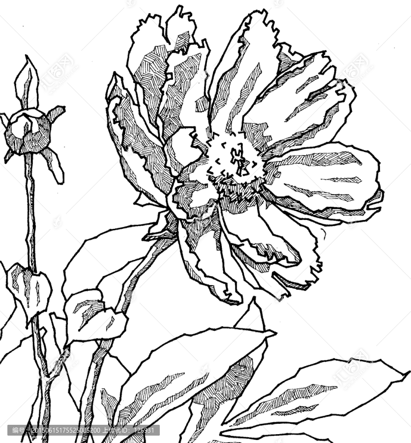 手繪素描創(chuàng)意花卉,分層