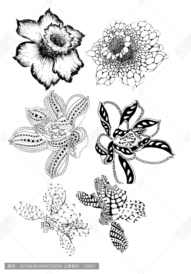 手繪黑白素描花卉,分層
