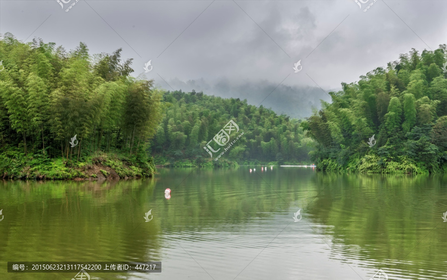 贵州赤水竹海