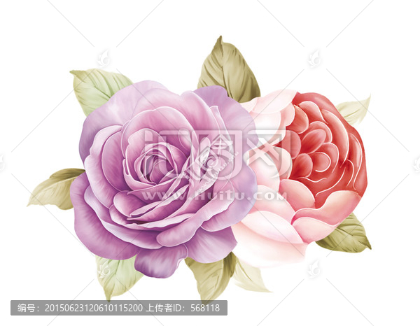 玫瑰花