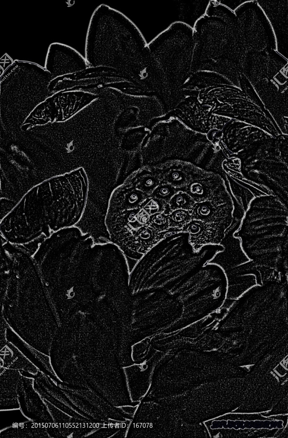千瓣蓮,植物花草素材