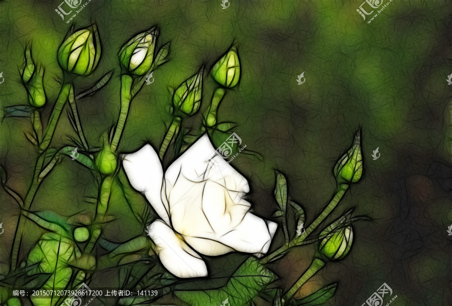 月季花抽象畫