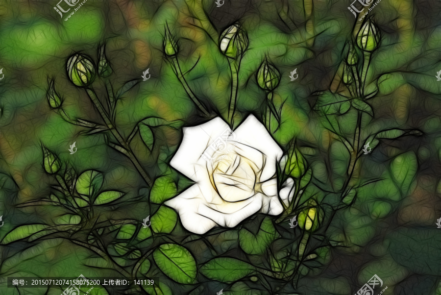 月季花抽象畫