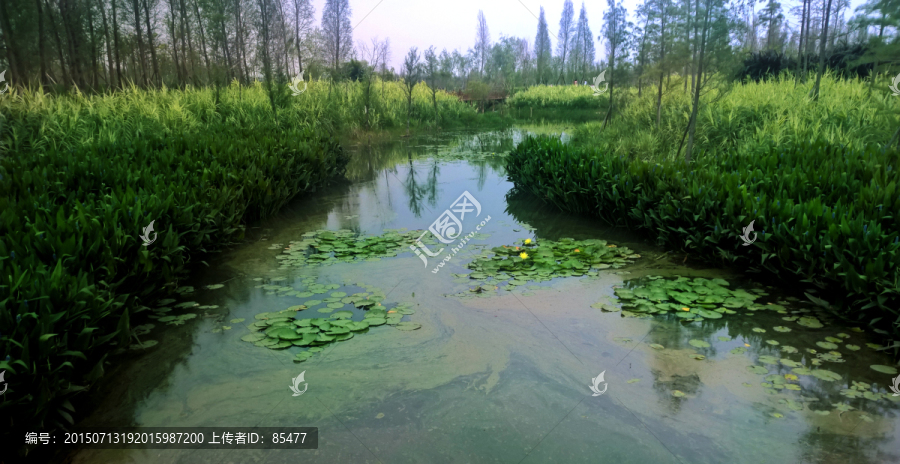 昆明海東濕地
