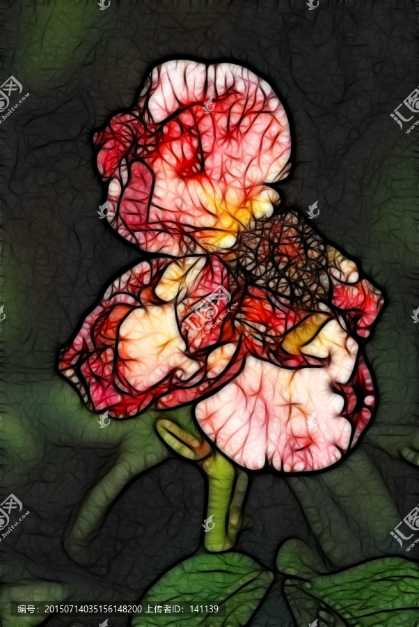 月季花抽象畫