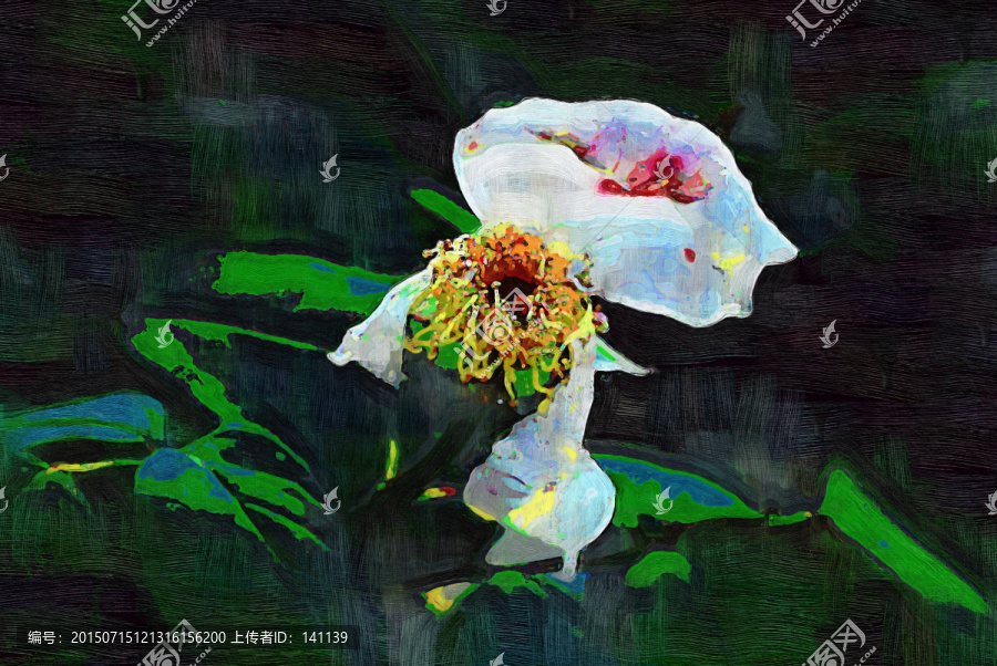 月季花油畫
