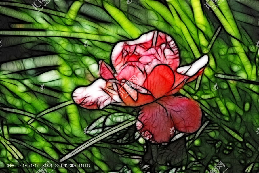 月季花抽象畫