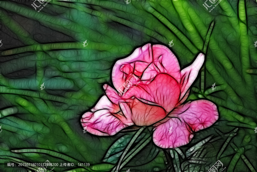 月季花抽象畫