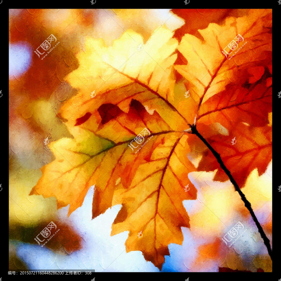 楓葉紅楓（不分層）