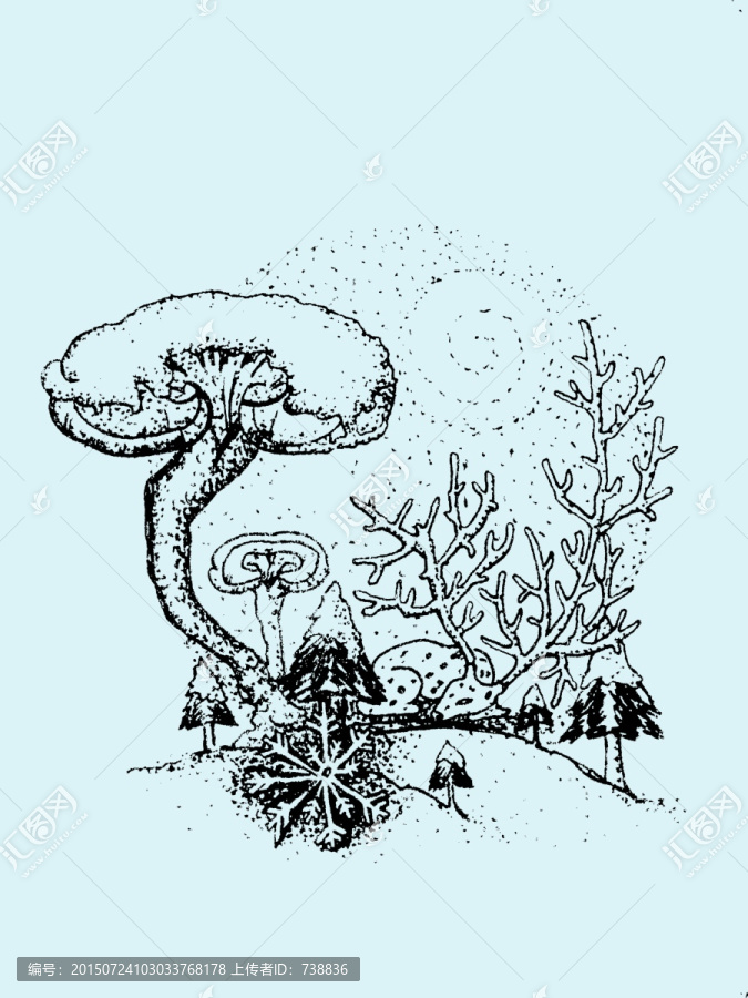 靈芝插畫(huà)