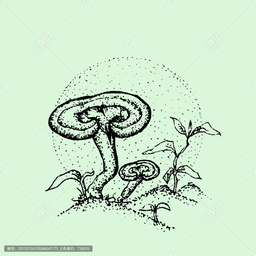靈芝插畫