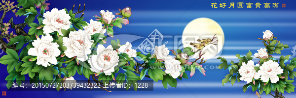 牡丹,花好月圓富貴高潔