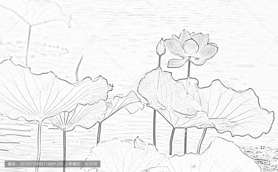 設(shè)計素材,荷花
