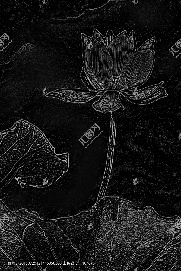 設(shè)計(jì)素材,荷花
