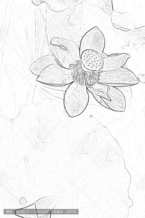 設(shè)計(jì)素材,荷花