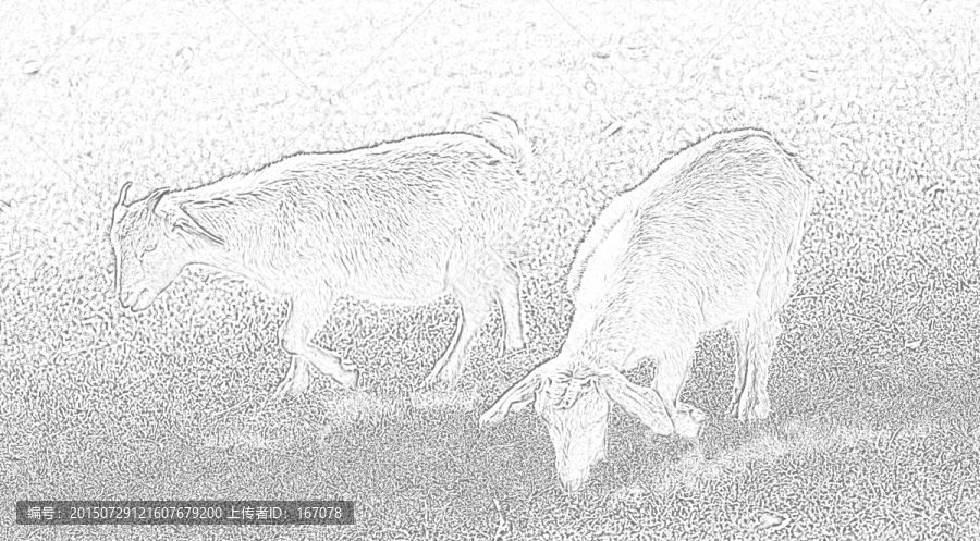 動(dòng)物素材,羊