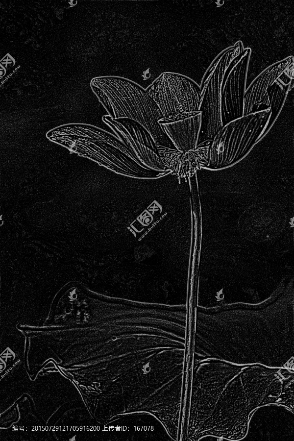 設(shè)計(jì)素材,荷花