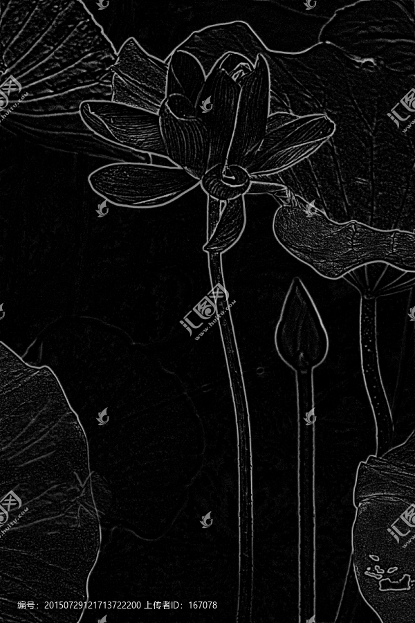 設(shè)計(jì)素材,荷花