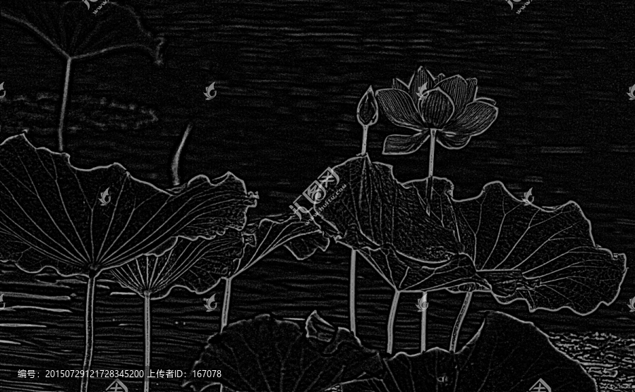 設計素材,荷花