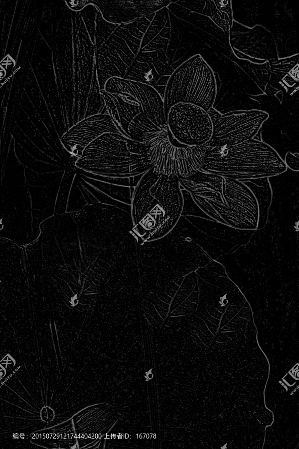 設計素材,荷花