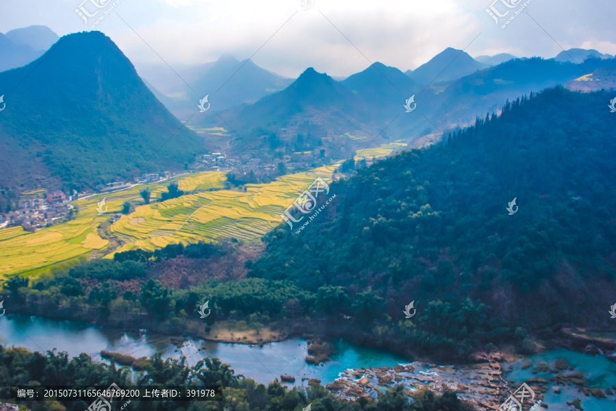 山脉花草