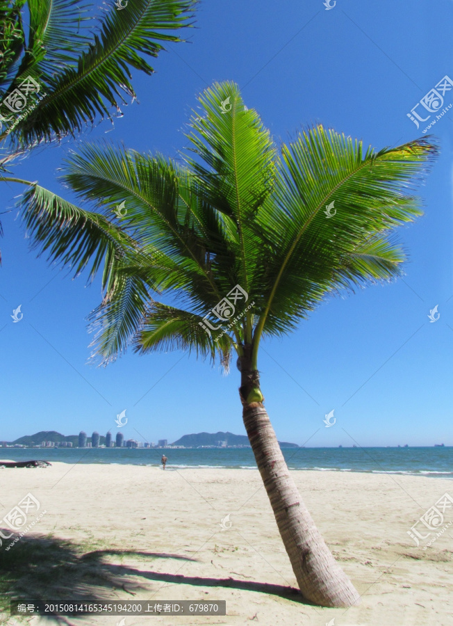 椰树海滩