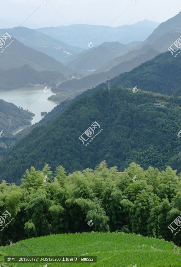 田野青山