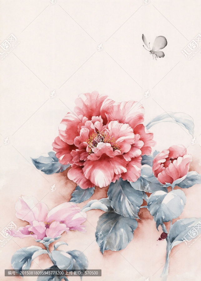 水彩,花卉,牡丹,印花,手繪花