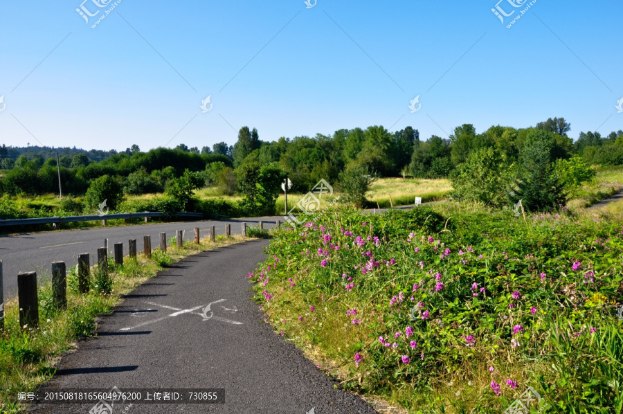 进入公园的公路